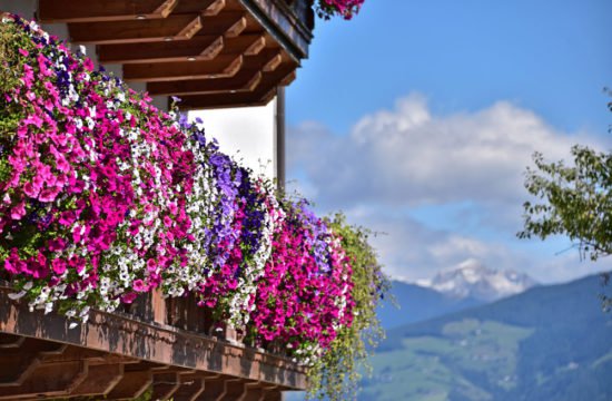 ausblick-balkon