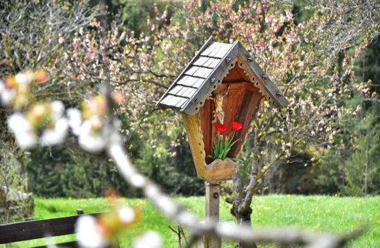 saderhof-bressanone29